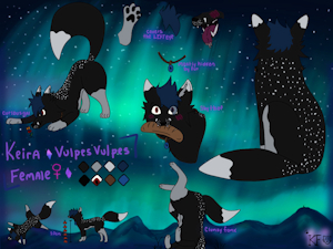 My Reference Sheet by KeiraFoxxe