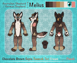 Ref Sheet by Melius