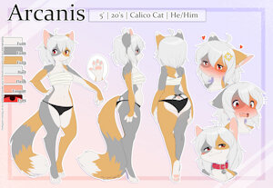 Arcanis Refsheet (Undies) by Saucy