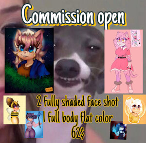 Commission 62$ 2headshot 1 fullbody flat(CashApp Only) Open by NoHomoBroAteFo