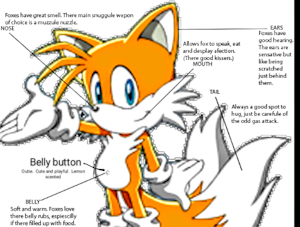 Cute Facts about Tails by davidL0ud