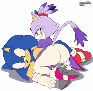 Commission: Sonic & Blaze by Pepamint0