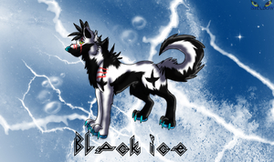 BlackIce by ShadowWulf