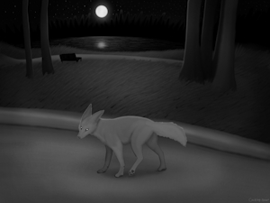 Moonlight Coyote by cacklingbeast
