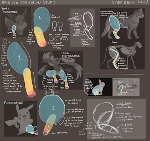 [ANATOMICAL STUDY] Plantigrade & Digitigrade Hind Legs by otterbaux