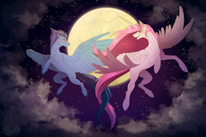 Night flight | Commission by SunnyWay