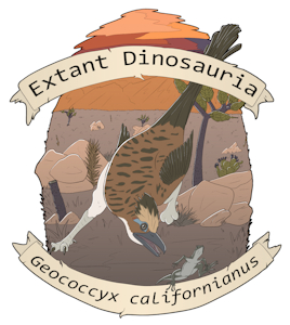 Geococcyx californianus by TinyTerrible