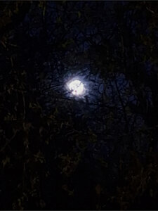 The Moon by NastyCat