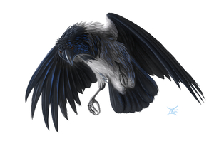 Harbinger of Good- and Bad news by RevenantWairu