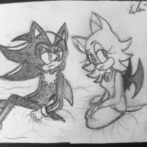 .:Shadow and Rouge:. by MuzzledMuffin123