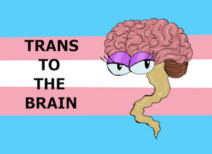 trans to the brain by linkina