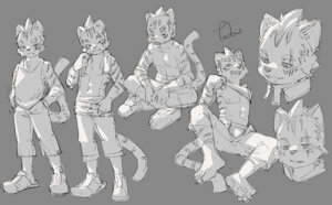 Tiger boy by Tadow