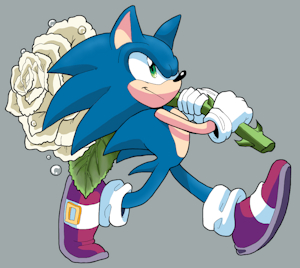 Sonic flower bouquet by ArborialRodent