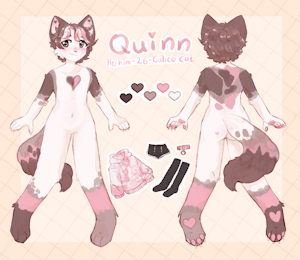 Quinn SFW ref by purrypurin