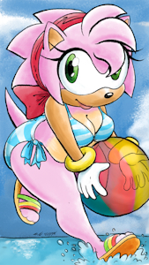 Amy Rose on the beach by TheDJTC