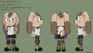 Flecky's ref sheet by ChillStoner