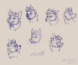 face sketches for ashes by WulfGecko