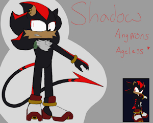 Shadow T Hedgehog by 2Fast2Furious