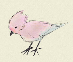 Dreambird by Saucy