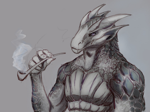 Silver Dragonborn by Genris