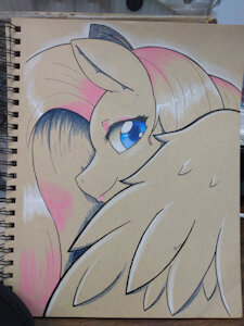 A Shy Pegasus by EdgarKingmaker