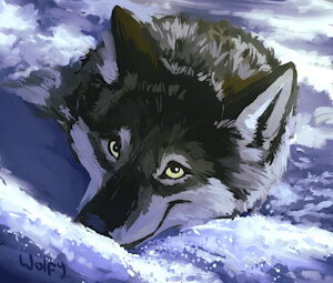 Wolf speedpaint by WerewolfDegenerate