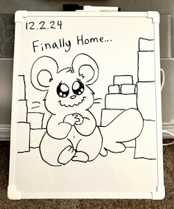 Finally Home by Nishi