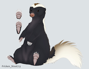 Conepatus chinga - Molina’s Hog-Nosed Skunk by FrickenStoat