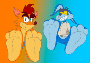 (NMA) Bandicoot and Roo Paws by HarmonyBunny