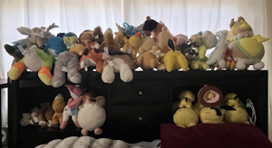 The Collection by pichu90