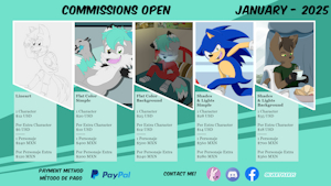 Commissions Open! - READ THE DESCRIPTION by SilverTyler25