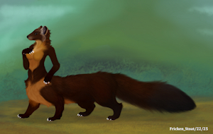 hazel the pine marten taur by FrickenStoat