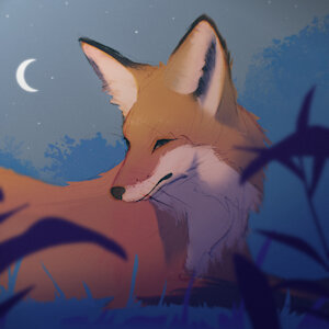 Fox at night by barnOwl