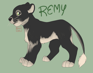 Remy design commission by FeralTwi