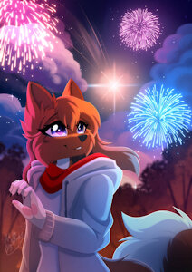 Fireworks by Szarik181