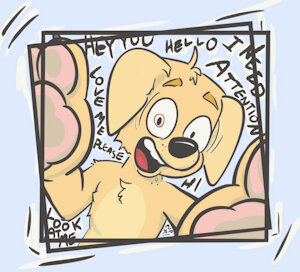 Pup Wants Attention! by YourPupUp