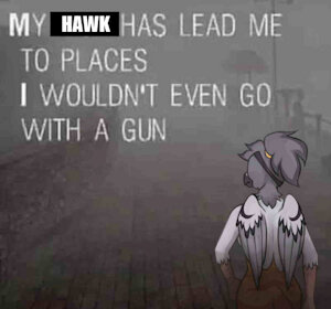 My Hawk by MarsMiner