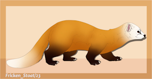 japanese marten by FrickenStoat