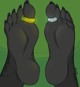 My Dragon Feet by draconicon