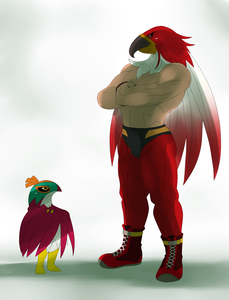 Hawlucha vs Tizoc by sssonic2