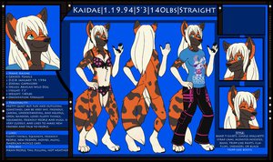 Kaidae Reference by Kaidae