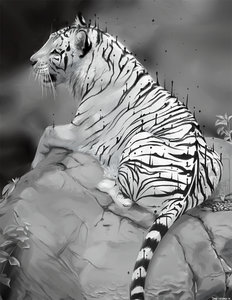 Tiger Inkling by MissOro