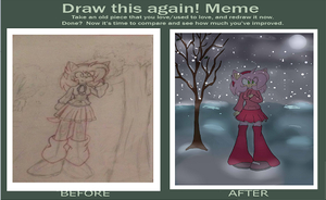 amy rose before n after by sweetlove258