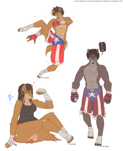 The Chronicles Of A Puerto Rican Fighter by Mess1ah