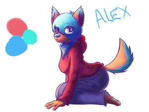 Alex the Colourful Husky by Shuva