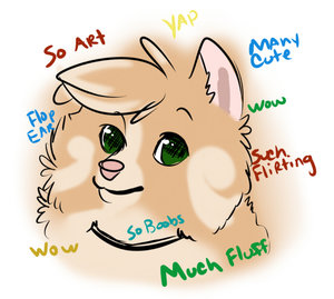 aM dOGE by Rika
