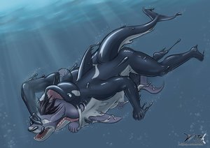 Goo orca vs. Shark by Vvitch by nalkhan