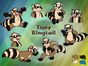 raccoon reference! by TonyRingtail
