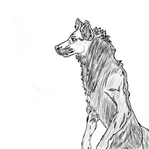 Old werewolf drawing by WaterTiger