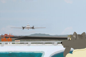 Coyote Family Watches DC-3 Takeoff - Slideshow Still Shots by moyomongoose